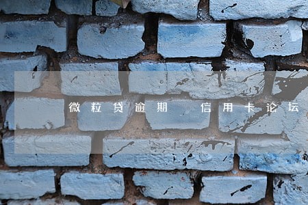 微粒贷逾期 信用卡论坛 微粒贷逾期 信用卡论坛